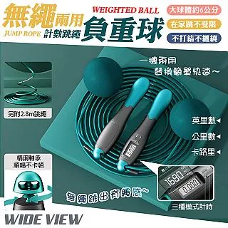 無繩負重球兩用跳繩成人室內健身運動加粗大球體育用品跳繩 歷史價格詳細信息