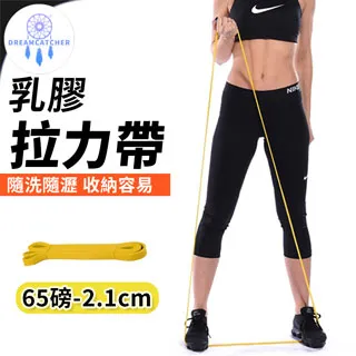 【乳膠拉力帶 80磅】專業級環狀｜拉力繩 彈力帶 彈力繩 阻力帶 重訓 健身 瑜珈 TRX 全身雕塑｜HOF7A2 歷史價格詳細信息