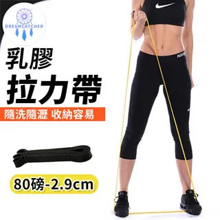 【乳膠拉力帶 80磅】專業級環狀｜拉力繩 彈力帶 彈力繩 阻力帶 重訓 健身 瑜珈 TRX 全身雕塑｜HOF7A2 歷史價格詳細信息