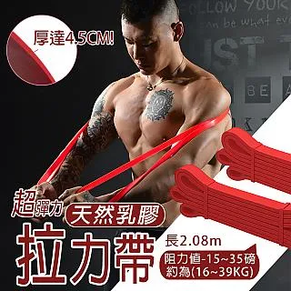 【乳膠拉力帶 80磅】專業級環狀｜拉力繩 彈力帶 彈力繩 阻力帶 重訓 健身 瑜珈 TRX 全身雕塑｜HOF7A2 歷史價格詳細信息