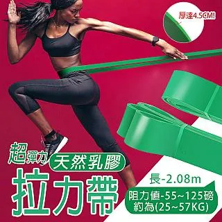 【乳膠拉力帶 80磅】專業級環狀｜拉力繩 彈力帶 彈力繩 阻力帶 重訓 健身 瑜珈 TRX 全身雕塑｜HOF7A2 歷史價格詳細信息