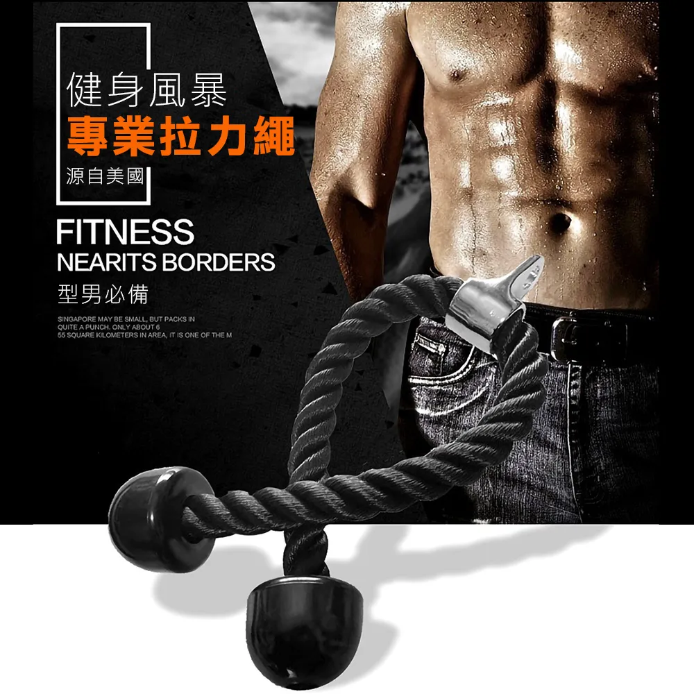 三頭肌尼龍拉力繩(尼龍拉力繩/肌繩/麻繩拉桿/重量訓練配件) 歷史價格詳細信息