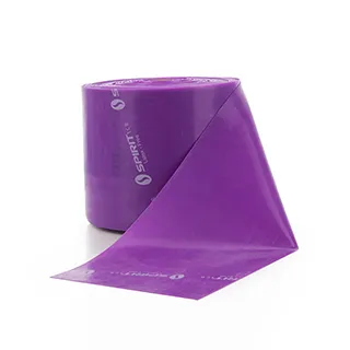 【 重紫】古裝愛情電視連續劇DVD碟片光盤楊超越徐正溪40集完整版 歷史價格詳細信息