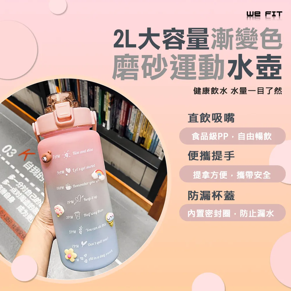 【WE FIT】磨砂半透明防水手提化妝包 旅行收納包 洗浴健身包(SG037)-中款 歷史價格詳細信息