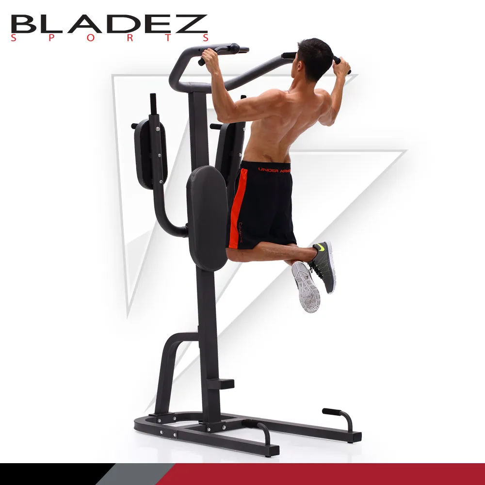 【BLADEZ】FITNESS REALITY 引體向上機-F2800 歷史價格詳細信息