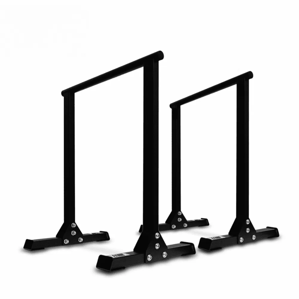 【HOLD STRONG】SMART ATHLETICS系列 簡易式框架(訓練架 深蹲 硬舉 引體向上 深蹲架) 歷史價格詳細信息