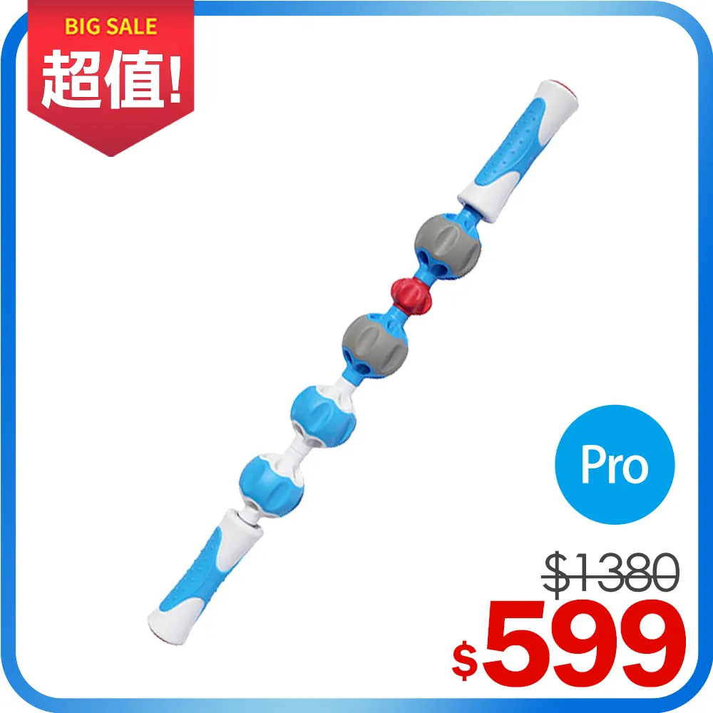 【addaday】按摩滾輪棒  Type P Pro Roller 歷史價格詳細信息