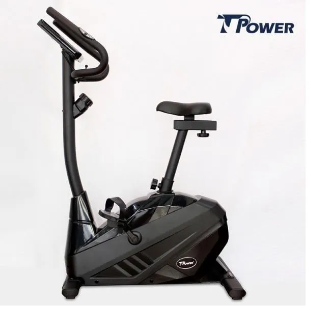 TPOWER 飛輪健身車 T888 台灣製造 超大舒適座墊 歷史價格詳細信息