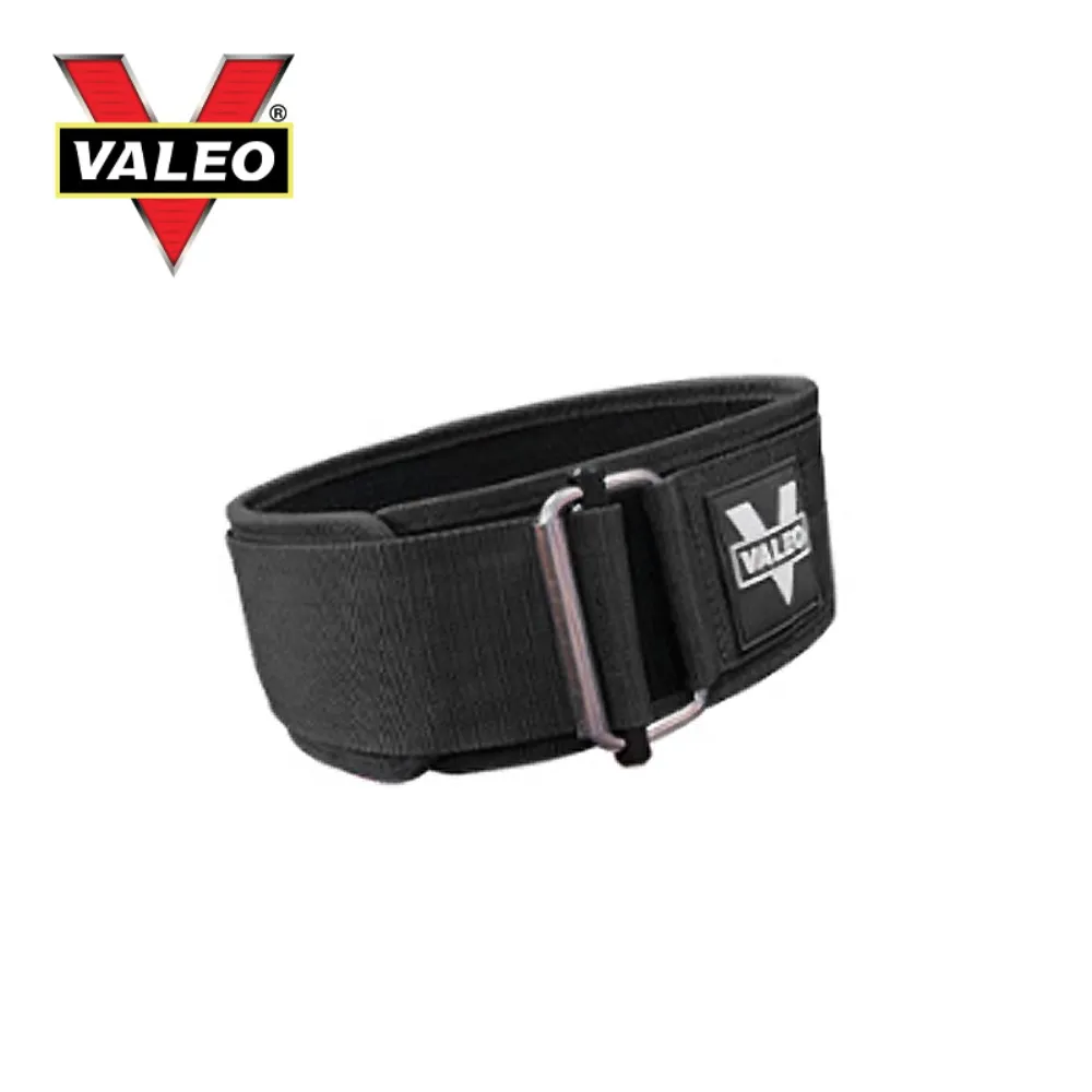 VALEO 深蹲舉重健身腰帶-L-85cm 歷史價格詳細信息