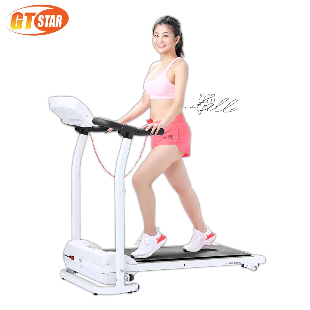 GTSTAR—家用型S曲線雕塑跑步機(免安裝) 歷史價格詳細信息