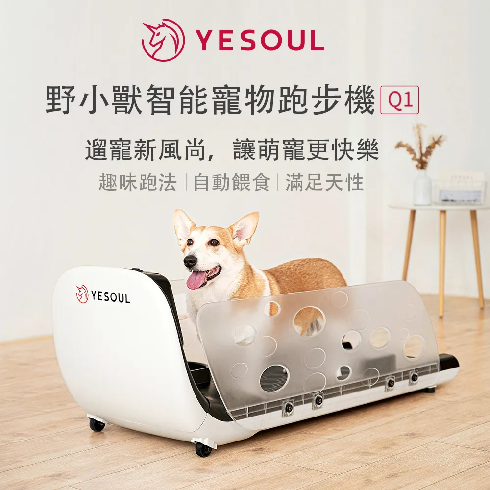 【 X-BIKE 晨昌】小草智能赤腳跑步機 XBT5900[免運] 歷史價格詳細信息