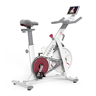 【X-BIKE晨昌】YESOUL 野小獸 靜音智能折疊美學跑步機 機車制動 PH5【贈一個月免費課程】 歷史價格詳細信息