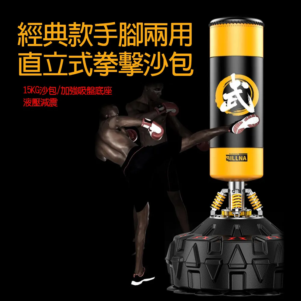 【X-BIKE】加大加厚款 15mm厚  200x80cm 瑜珈墊/防滑墊/地墊  贈綁帶及背袋 SGS認證 XFE-YG52 歷史價格詳細信息