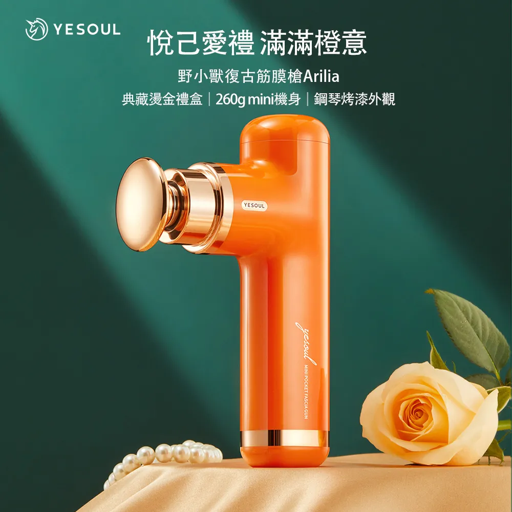 晨光金品毛筆狼毫兼毫大號小號中號練習用筆國畫用筆 中大號規格議價~特賣 歷史價格詳細信息