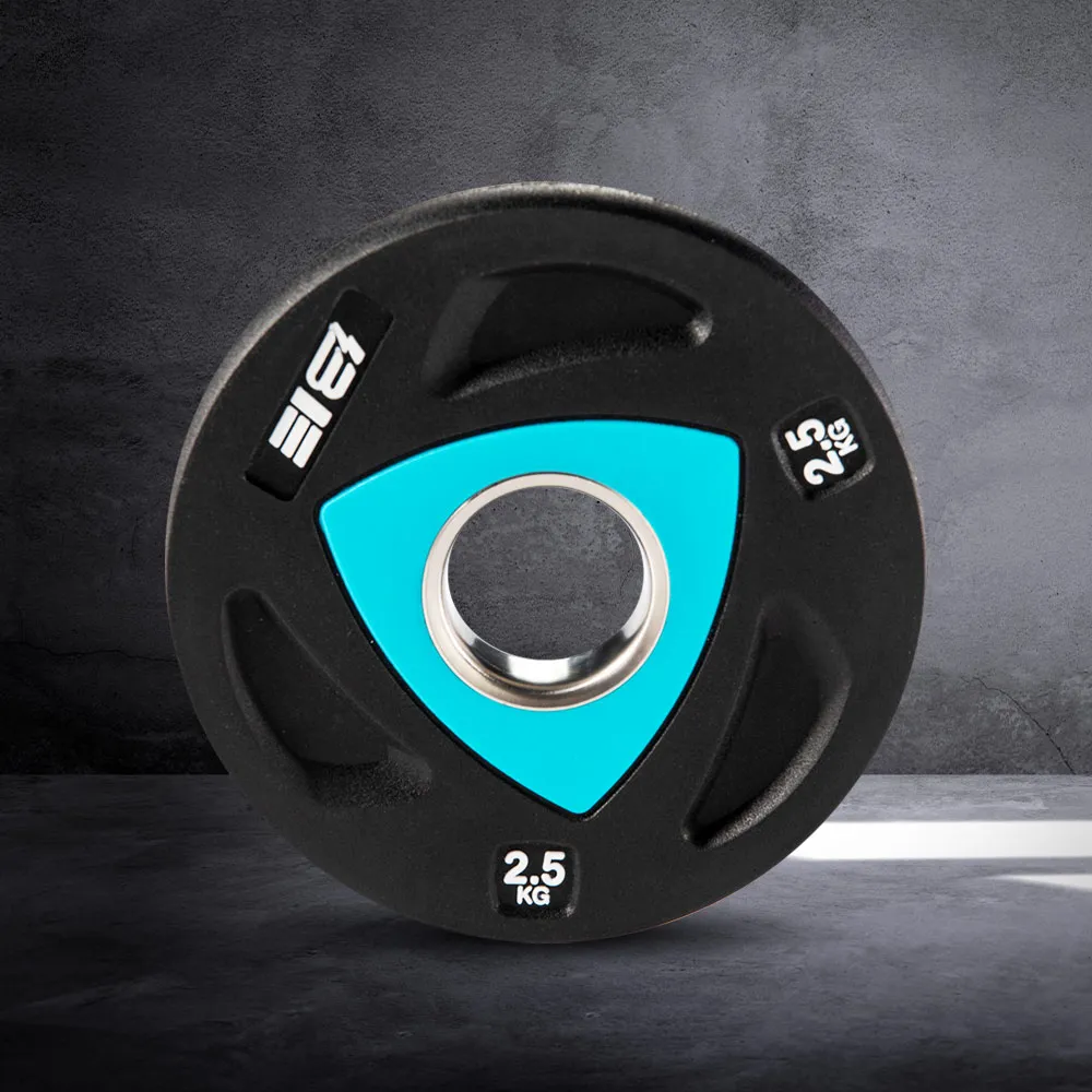 2.5KG包膠槓片 I08-2 歷史價格詳細信息