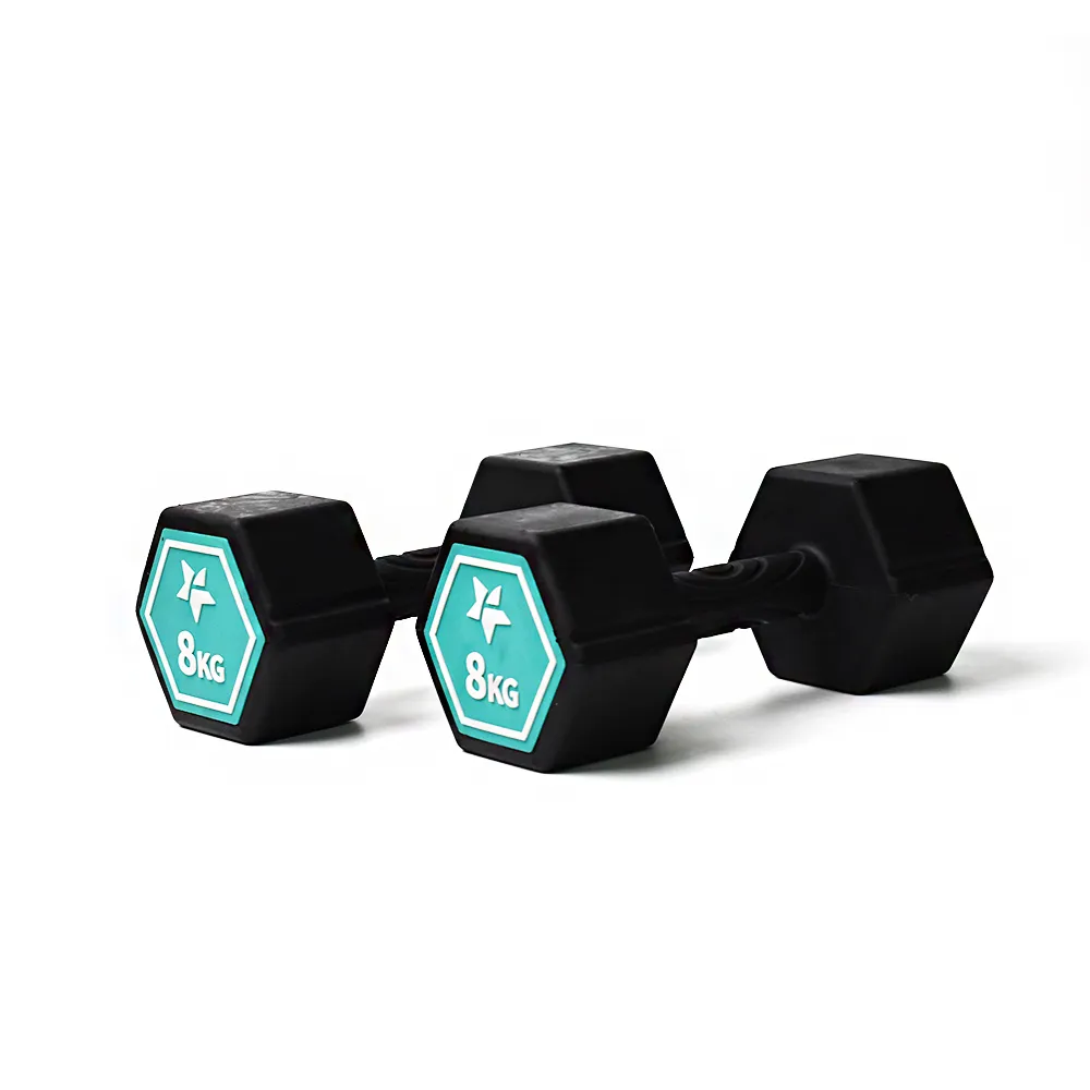 Fun Sport-奇樂力-波紋防滑啞鈴-1kgx2 歷史價格詳細信息