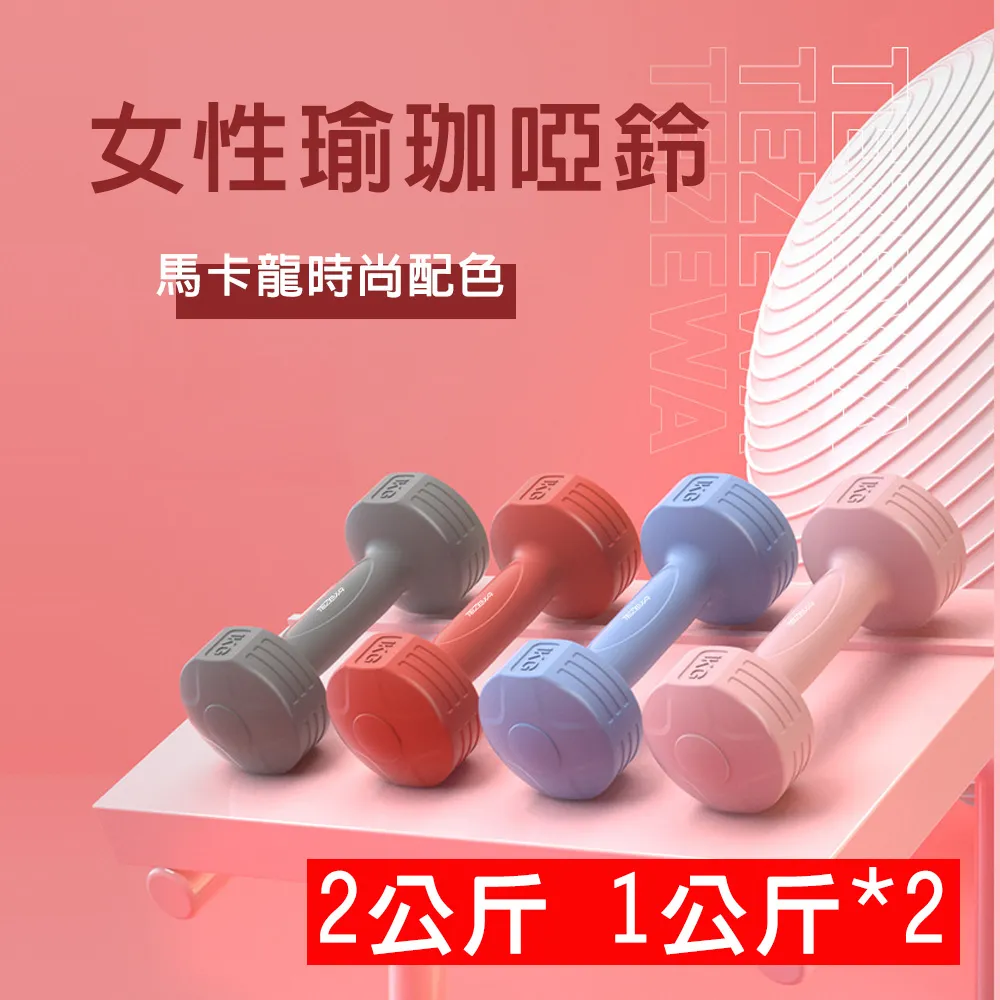 【X-BIKE 晨昌】1.5KG-2支入 時尚彩色款啞鈴 環保材質/一體成型 XFE-T483 歷史價格詳細信息