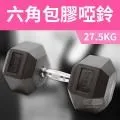 【ABSport】包膠高質感六角啞鈴25KG(單支)/整體啞鈴/重量啞鈴/重量訓練 歷史價格詳細信息
