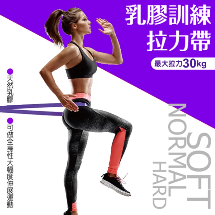 【成功SUCCESS】乳膠訓練拉力帶(專業用) 歷史價格詳細信息