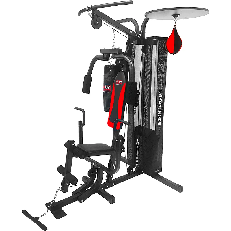 重量訓練機出清剩1台!! 【收納家H】--二、三頭肌訓練機(多用型)CT-2011A、運動器材、健身器材、健康器材 歷史價格詳細信息