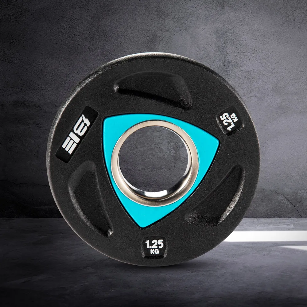 1.25KG槓片(黑烤漆) 歷史價格詳細信息