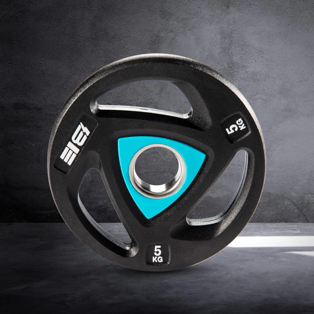 5kg奧林匹克槓片-奧槓專用-1對 歷史價格詳細信息