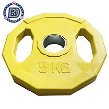 5kg奧林匹克槓片-奧槓專用-1對 歷史價格詳細信息