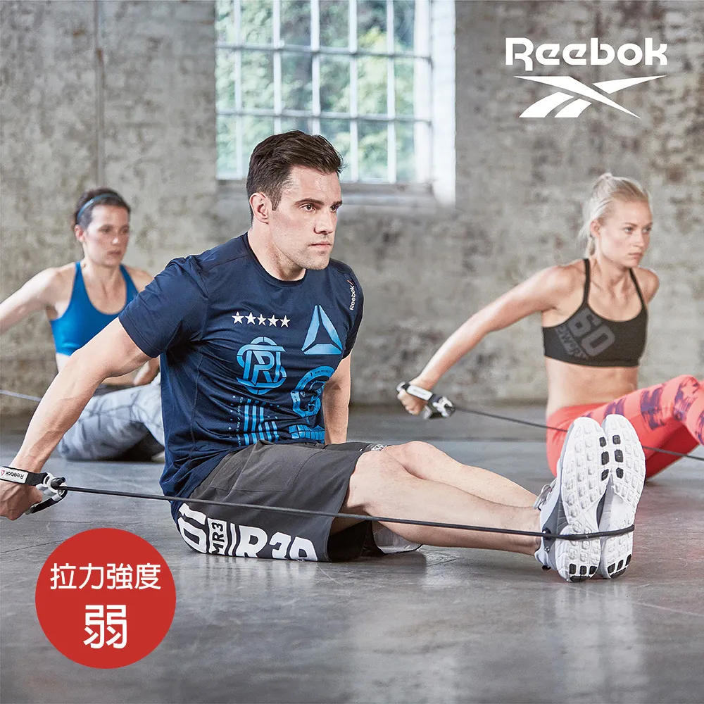 Reebok 可調式掛門拉力繩組 歷史價格詳細信息