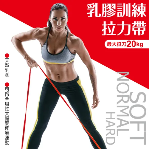 成功SUCCESS 男用加長型拉筋帶S4731(2入組) 歷史價格詳細信息