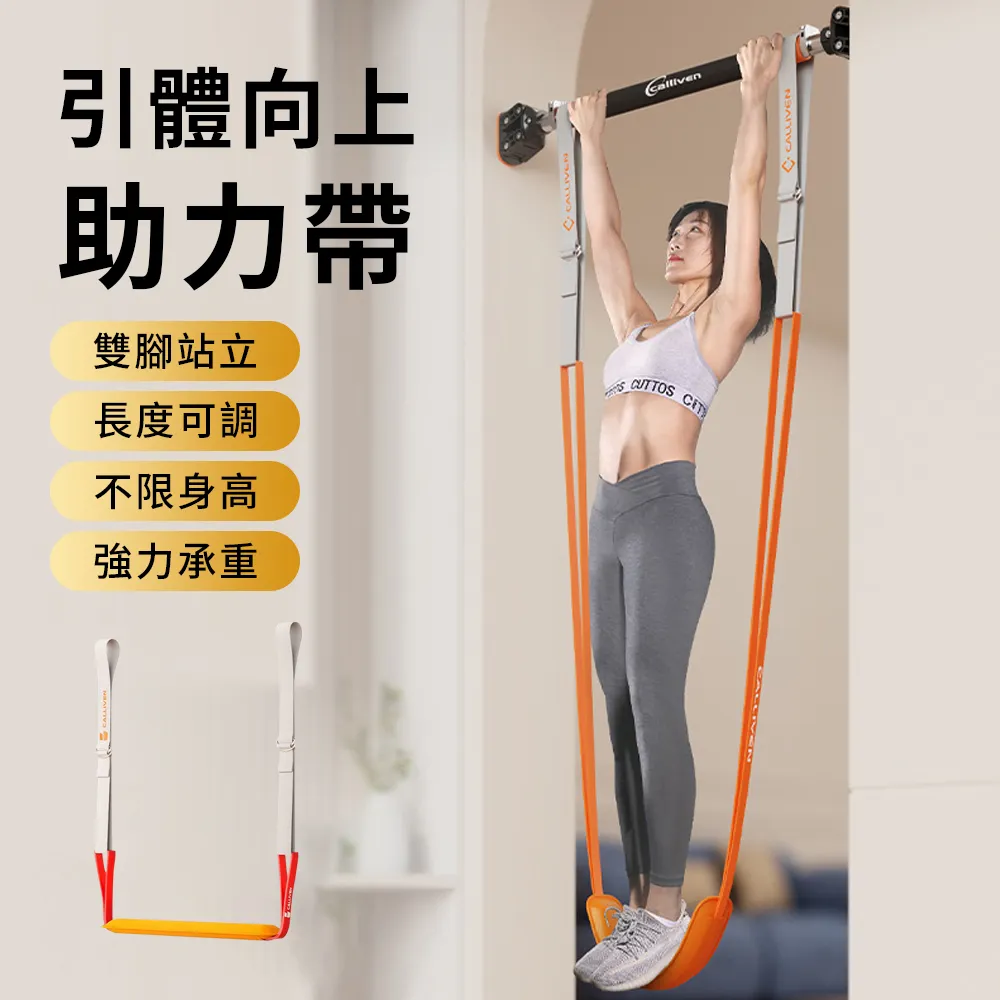 引體向上助力帶室內單杠輔助訓練器可調節彈力成人拉力繩人體引力 歷史價格詳細信息