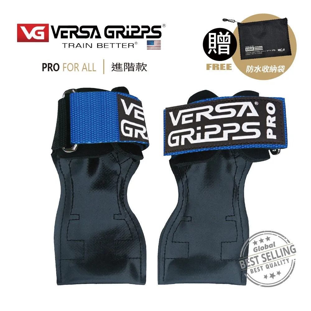美國【 Versa Gripps 】 Professional 3合1健身拉力帶 璀璨金 歷史價格詳細信息