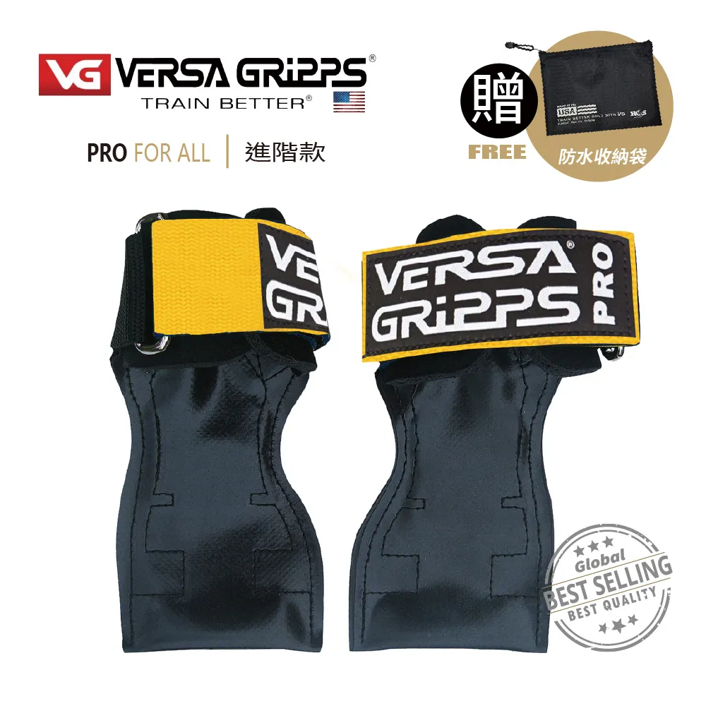 美國【 Versa Gripps 】 Professional 3合1健身拉力帶 璀璨金 歷史價格詳細信息