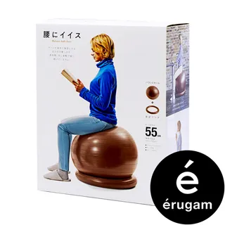 Erugam【55cm瑜珈球組｜抗力球】日本健身器材 加厚瑜珈球 瑜伽球 皮拉提斯 抗力球 韻律球 健身球 廠商直送 歷史價格詳細信息