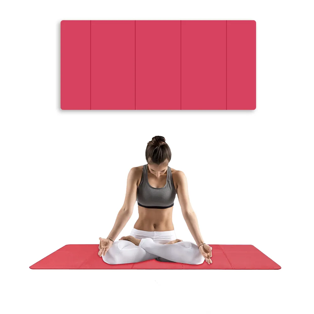 ZenFlex 德爾惠減震鋁合金羽球拍 2入組 超輕量羽拍 羽毛球拍 雙人羽拍（贈拍袋+3球） 歷史價格詳細信息