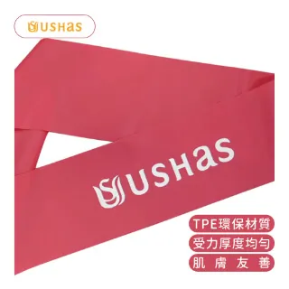 【USHaS 瑜癒】瑜珈健身彈力帶_3件組(阻力帶 拉力帶 環狀 阻力繩) 歷史價格詳細信息