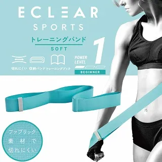 ELECOM ECLEAR 肌力訓練彈力帶-低階 居家健身 歷史價格詳細信息