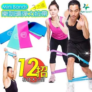 《Fun Sport》樂訓環彈力拉帶(MINI BANDS)（3種力道組合）／乳膠環／彈力環／拉力圈／O型圈／瑜珈環 歷史價格詳細信息