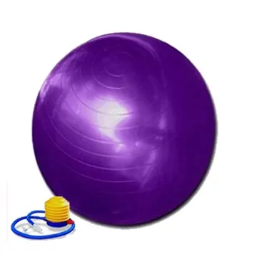 75CM 瑜珈球/抗力球/瑜伽健身球/紫色 價格比較,價格查詢,歷史價格詳細信息