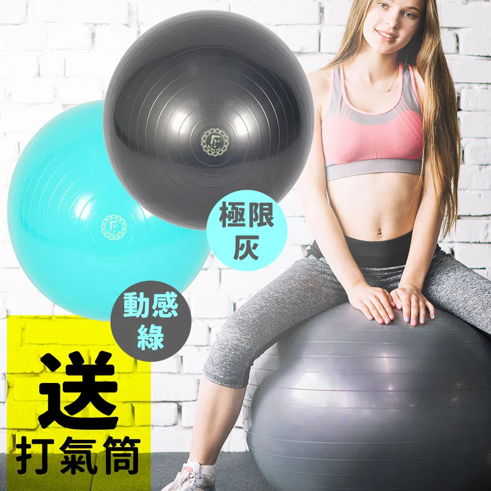 FunSport 歐力斯體適能健身球(55cm)送打氣筒(抗力球/瑜珈球/運動球) 歷史價格詳細信息
