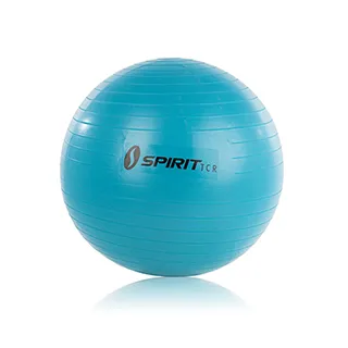 SPIRIT TCR-足部紓緩按摩器-海洋藍 歷史價格詳細信息