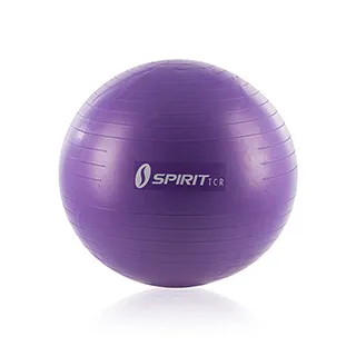 SPIRIT TCR-足部紓緩按摩器-海洋藍 歷史價格詳細信息