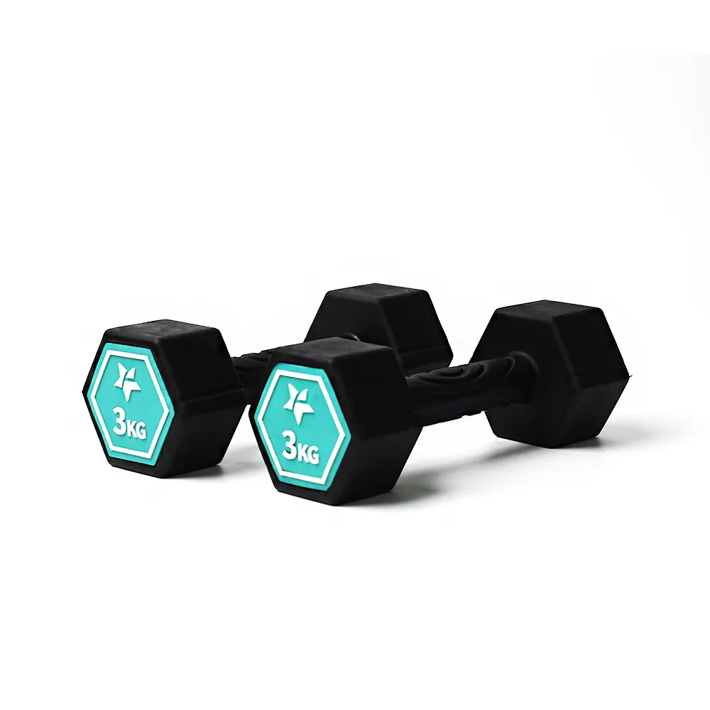 Fun Sport-奇樂力-波紋防滑啞鈴-1kgx2 歷史價格詳細信息