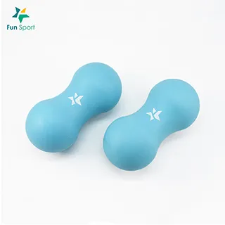 FunSport 歐力斯體適能健身球(55cm)送打氣筒(抗力球/瑜珈球/運動球) 歷史價格詳細信息