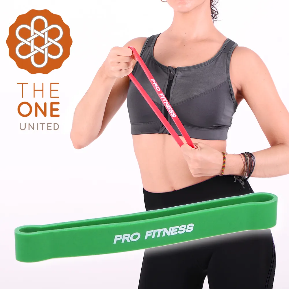 【The One】瑜珈健身 環形阻力帶(三款任選)(台灣24h出貨) 歷史價格詳細信息