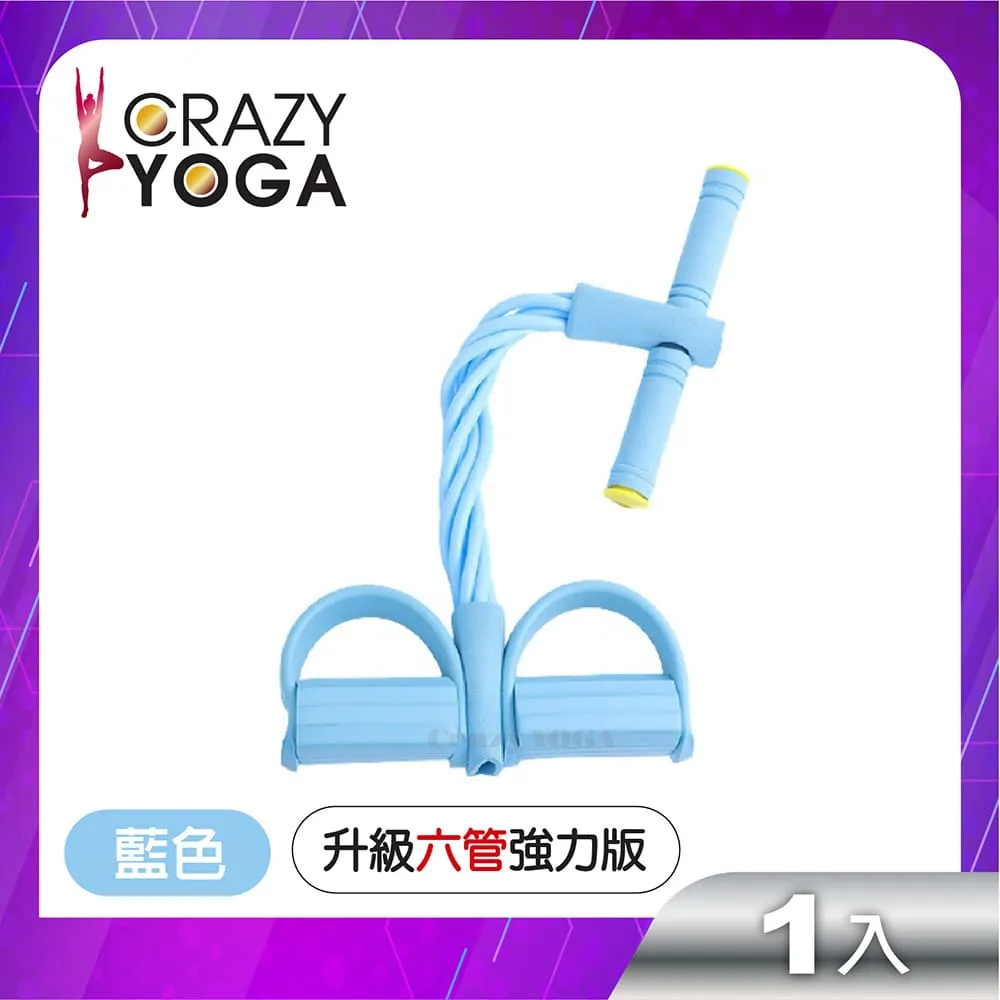 【Crazy yoga】加厚防爆瑜珈球65cm(贈手腳雙用打氣筒)-紫 歷史價格詳細信息