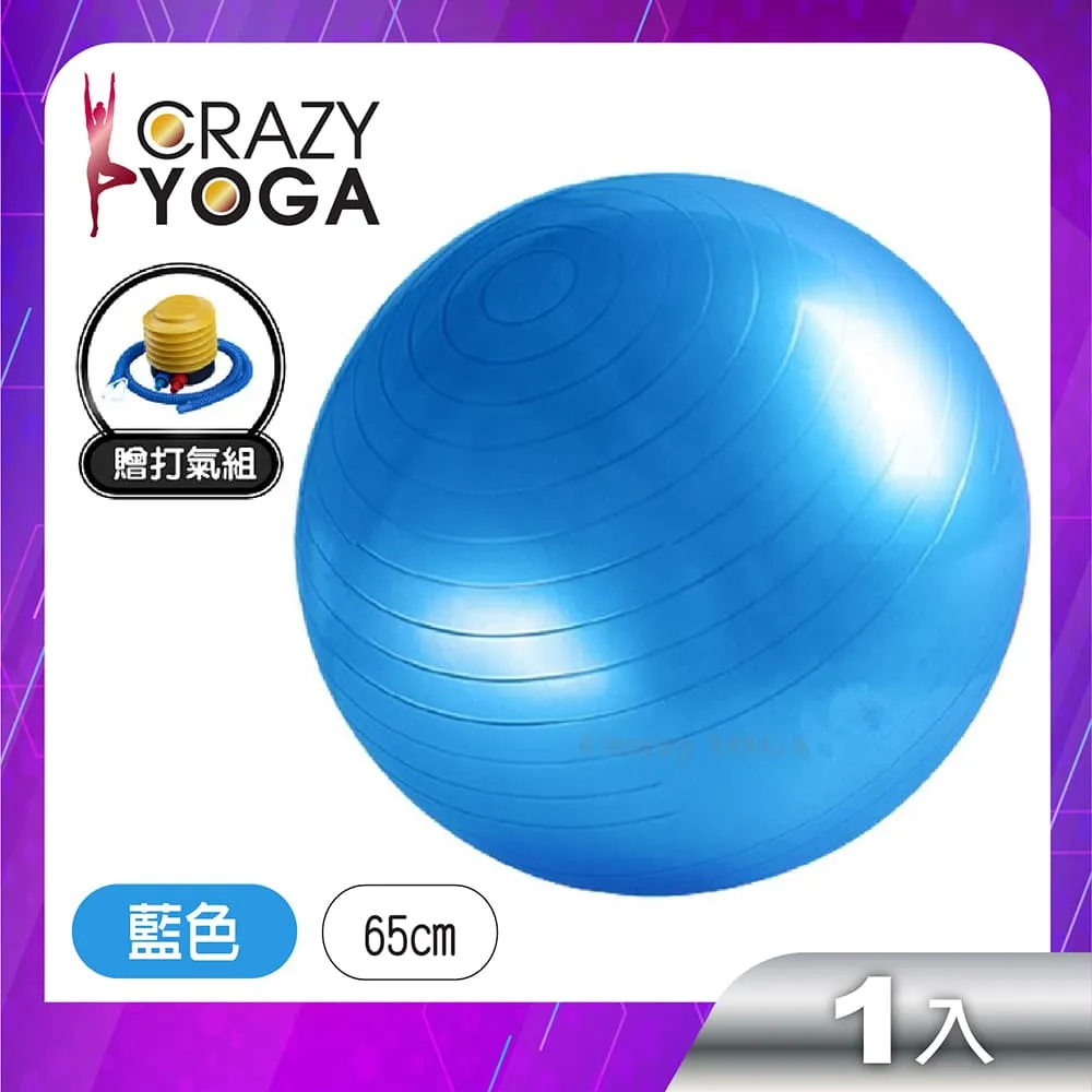 【贈打氣筒 加厚防爆 85cm】瑜珈球 彈力球 瑜伽球 抗力球 韻律球 平衡球 健身球 HOFA11 歷史價格詳細信息