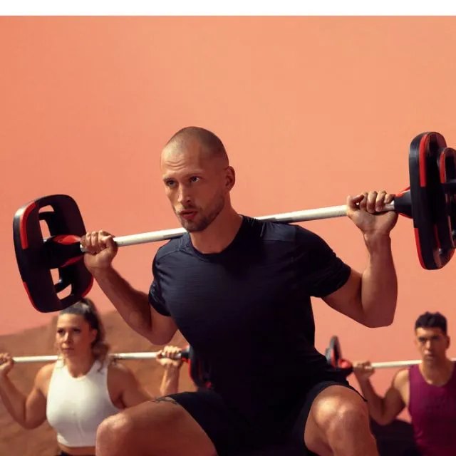 LES MILLS  SMARTBAR™ WEIGHT PLATES 萊美槓鈴健身2.5KG槓片(兩片一組) 歷史價格詳細信息