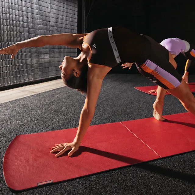 LES MILLS  SMARTBAR™ WEIGHT PLATES 萊美槓鈴健身2.5KG槓片(兩片一組) 歷史價格詳細信息