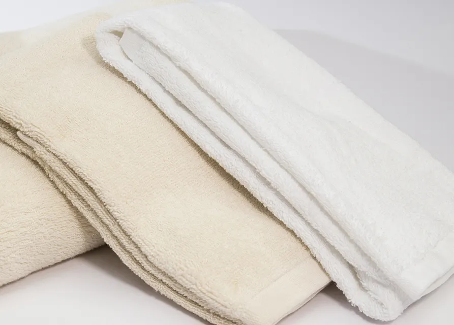 【LIFE 來福牌】LIFE 寬版運動毛巾 歷史價格詳細信息