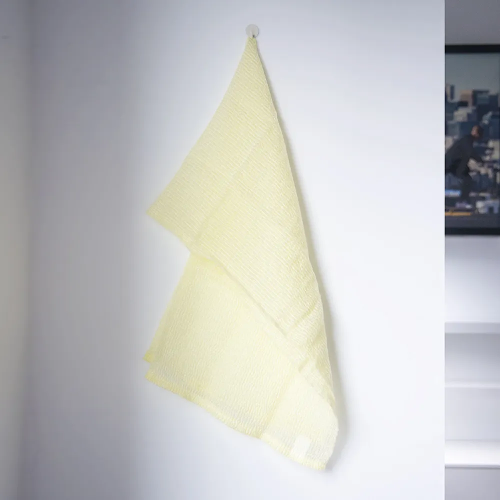 日本 Aisen 立體編織易起泡尼龍澡巾 歷史價格詳細信息